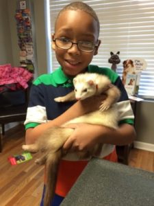 Boy holding farret